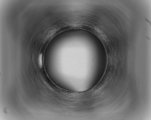 X0000096940028200802081216