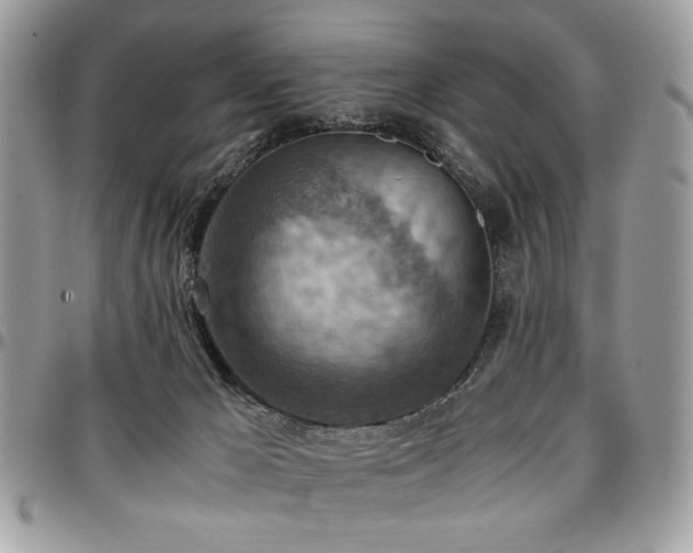 X0000096940029200802081216