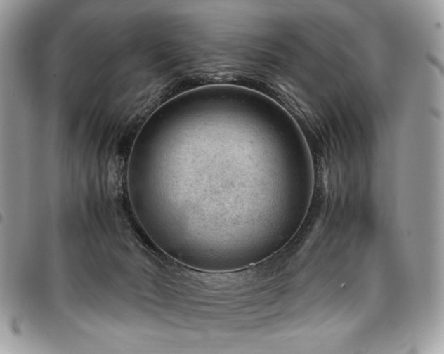 X0000096940030200802081216