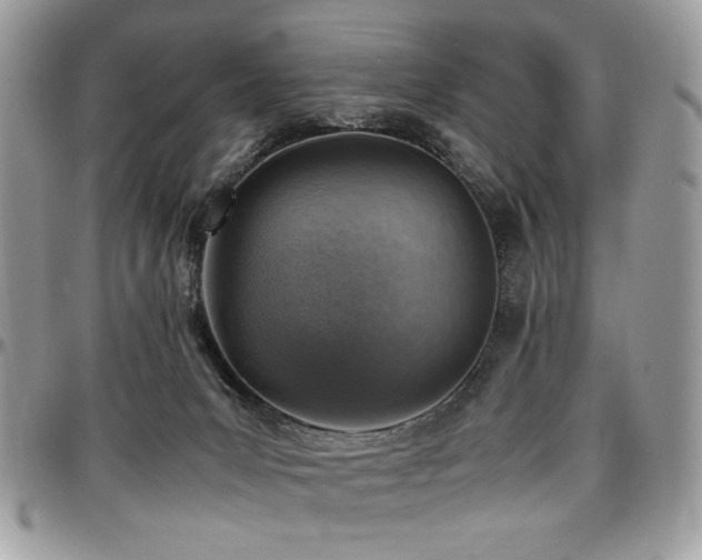 X0000096940031200802081216