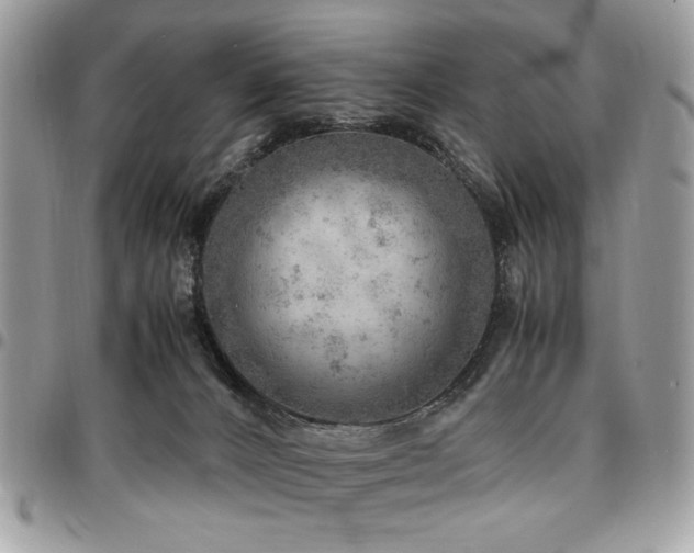 X0000096940032200802081216
