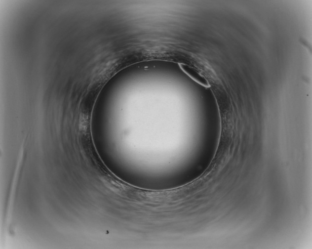 X0000096940033200802081216