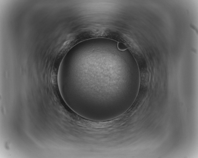 X0000096940035200802081216
