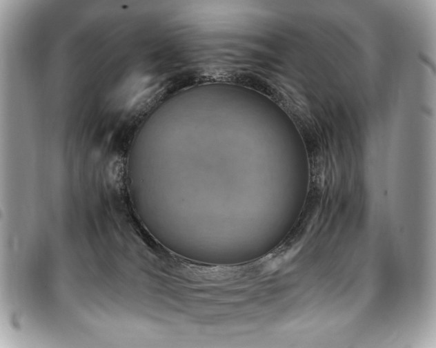 X0000096940036200802081216