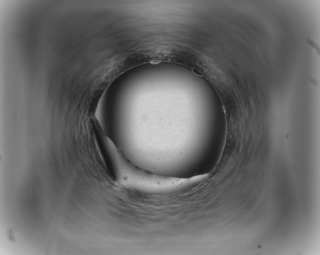 X0000096940037200802081216