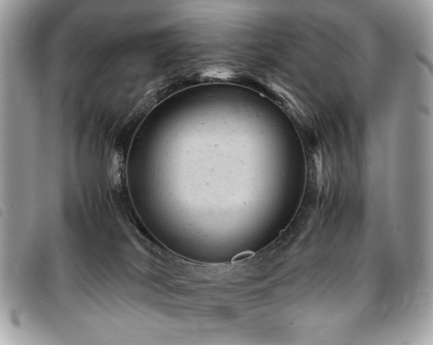 X0000096940038200802081216
