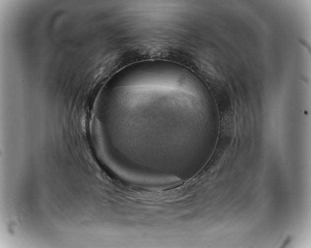 X0000096940039200802081216