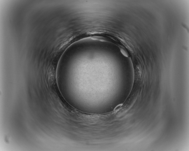 X0000096940040200802081216