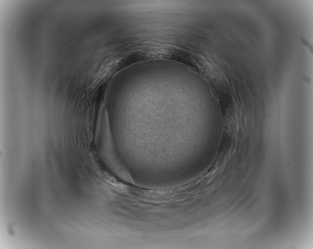 X0000096940041200802081216