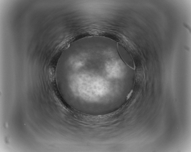 X0000096940043200802081216