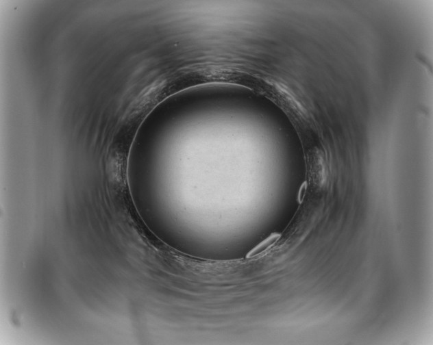 X0000096940044200802081216