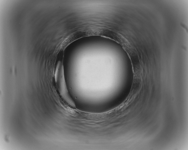 X0000096940045200802081216