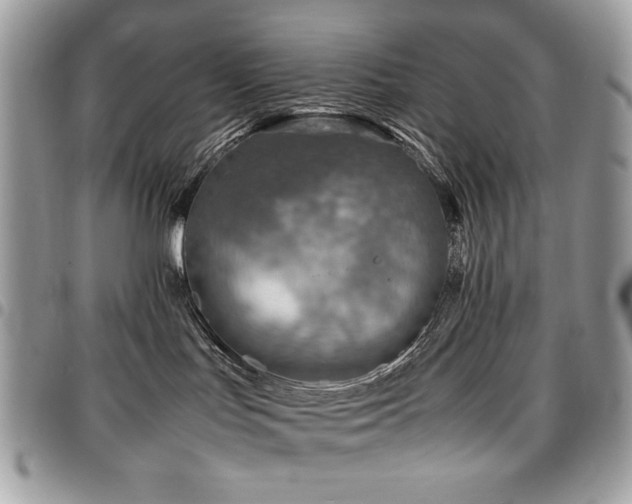 X0000096940047200802081216