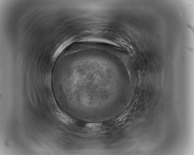 X0000096940051200802081215