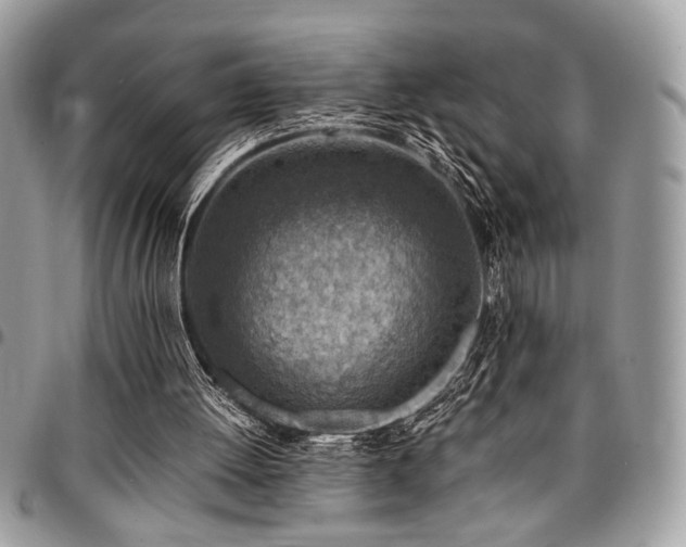 X0000096940052200802081215