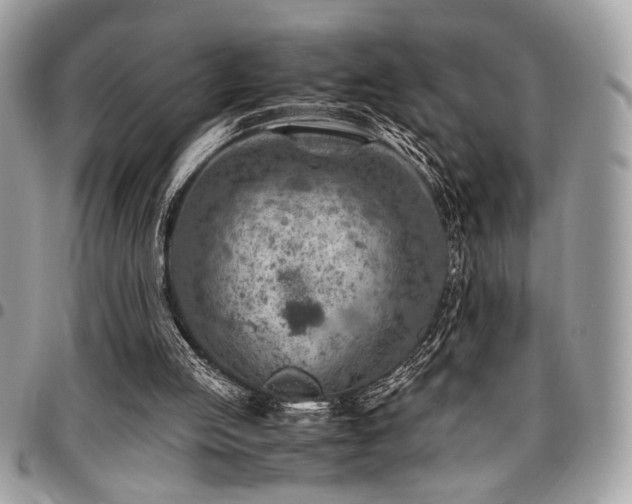 X0000096940053200802081215