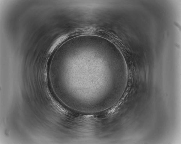 X0000096940054200802081215
