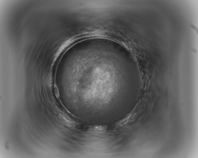 X0000096940056200802081216