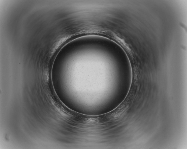 X0000096940060200802081216