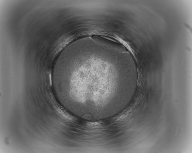 X0000096940061200802081216