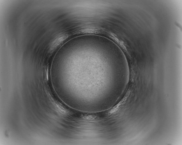 X0000096940062200802081216