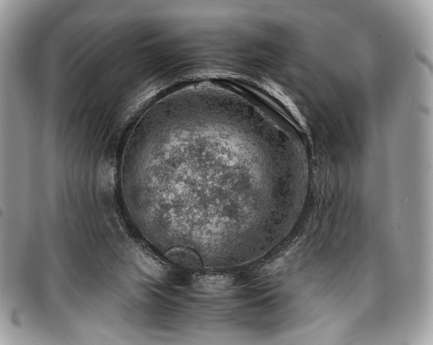 X0000096940063200802081216