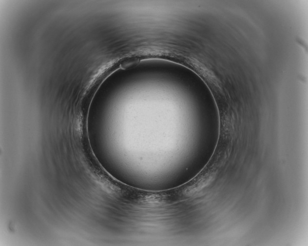 X0000096940064200802081216