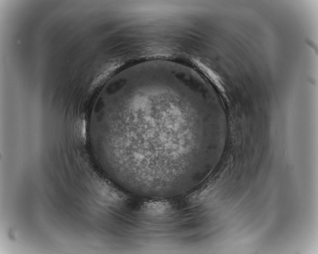 X0000096940067200802081216