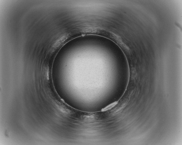 X0000096940068200802081216