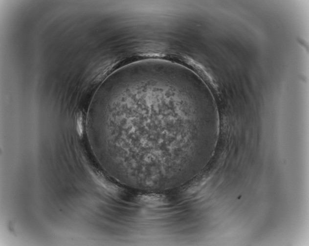 X0000096940069200802081216