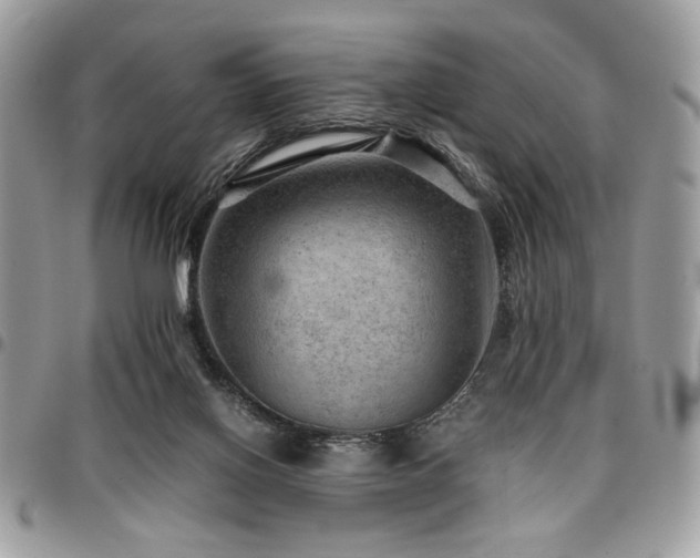 X0000096940070200802081216