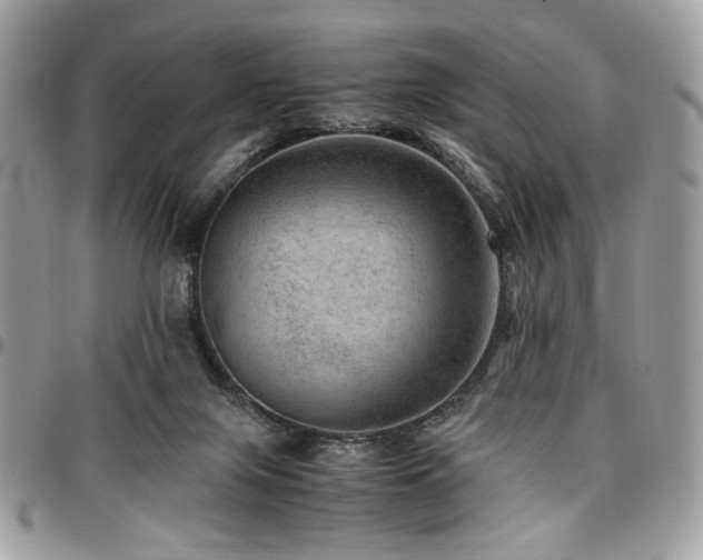 X0000096940071200802081216