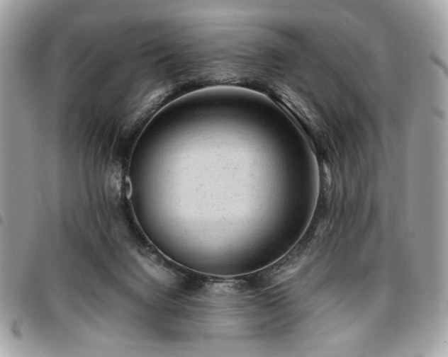 X0000096940072200802081216