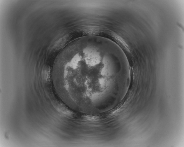 X0000096940073200802081216