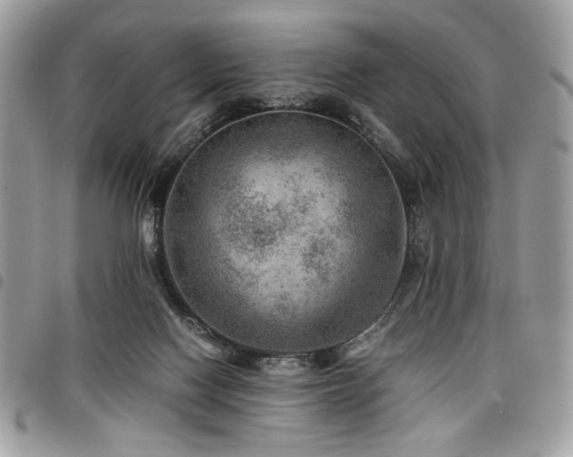 X0000096940074200802081216