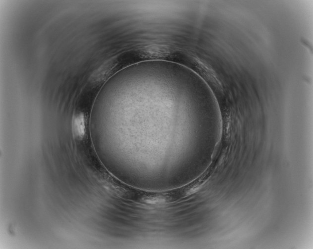 X0000096940075200802081216