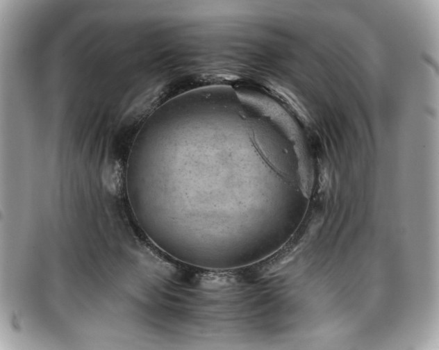X0000096940077200802081216