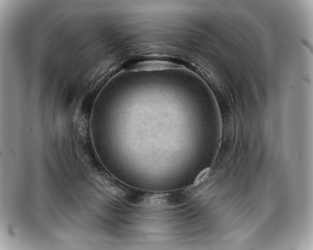 X0000096940078200802081216