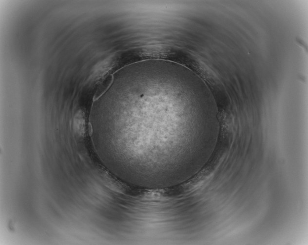 X0000096940080200802081216