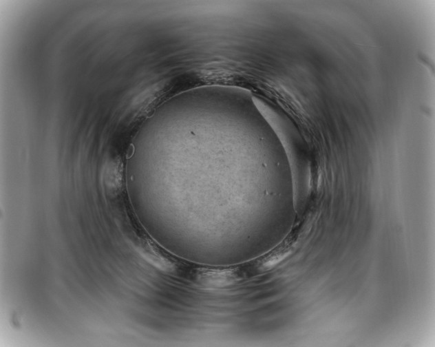 X0000096940081200802081216