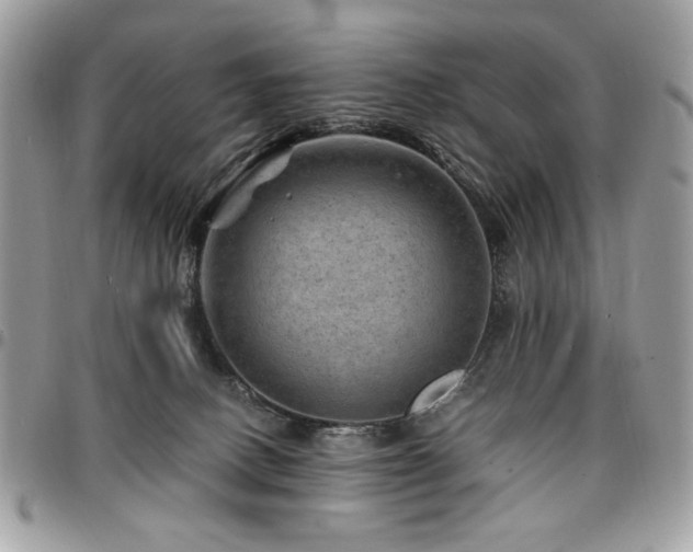 X0000096940082200802081216