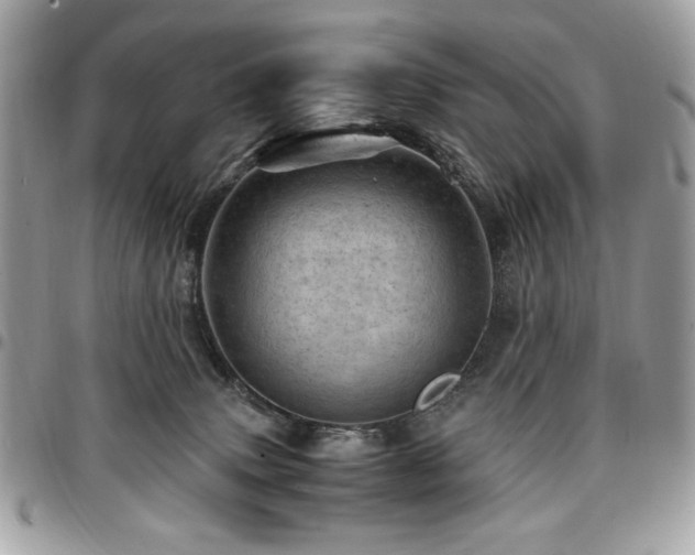 X0000096940083200802081216