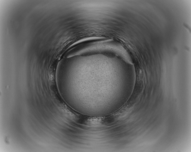 X0000096940084200802081216
