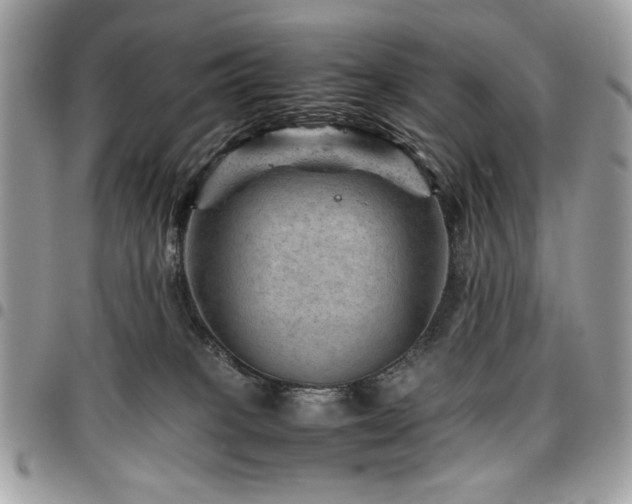 X0000096940085200802081216
