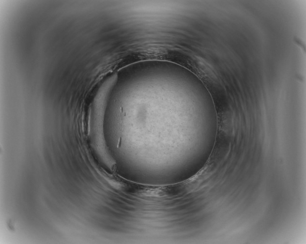 X0000096940086200802081216