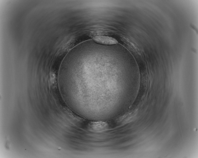 X0000096940087200802081216