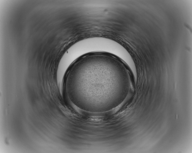 X0000096940088200802081216
