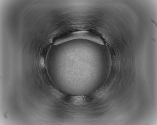 X0000096940089200802081216