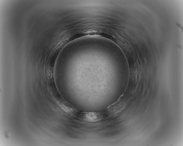 X0000096940091200802081216