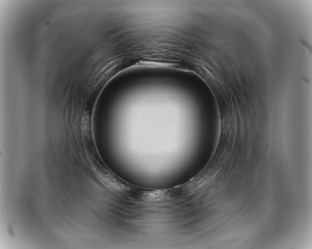 X0000096940092200802081216